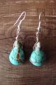 Hand Carved Turquoise Turtle Fetish Earrings by Matt Mitchell! 