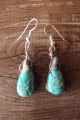 Hand Carved Turquoise Turtle Fetish Earrings by Matt Mitchell! 