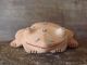 Zuni Indian Sandstone Frog Fetish by Brandon Phillips!