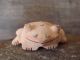 Zuni Indian Sandstone Frog Fetish by Brandon Phillips!