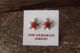 Zuni Indian Sterling Silver Coral Turtle Post Earrings! R. Lalio