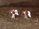 Native American Sterling Silver Coral Dove Post Earrings! 