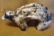 Acoma Pueblo Etched Horse Hair Arched Bear Statue by Gary Yellow Corn