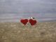 Zuni Indian Sterling Silver Coral Heart Post Earrings - Neha
