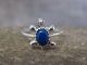 Zuni Indian Sterling Silver & Lapis Turtle Ring by Kinsel - Size 3.5