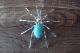 Navajo Indian Sterling Silver Turquoise Spider Pin by Spencer