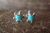 Zuni Indian Sterling Silver Turquoise Turtle Post Earrings! R. Lalio