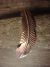 Navajo Indian Copper Feather Barrette ! Handmade by Douglas Etsitty