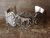 Navajo Sterling Silver Cast Horse & Heart Cuff Bracelet by Emerson Kinsel