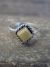 Zuni Indian Sterling Silver Yellow Shell Ring by Rosetta - Size 4.5